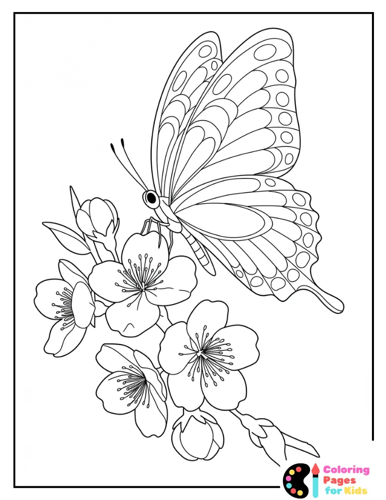 Butterfly on Cherry Blossom Tree Butterfly for Kids Butterflies and Pretty Flowers with Butterflies