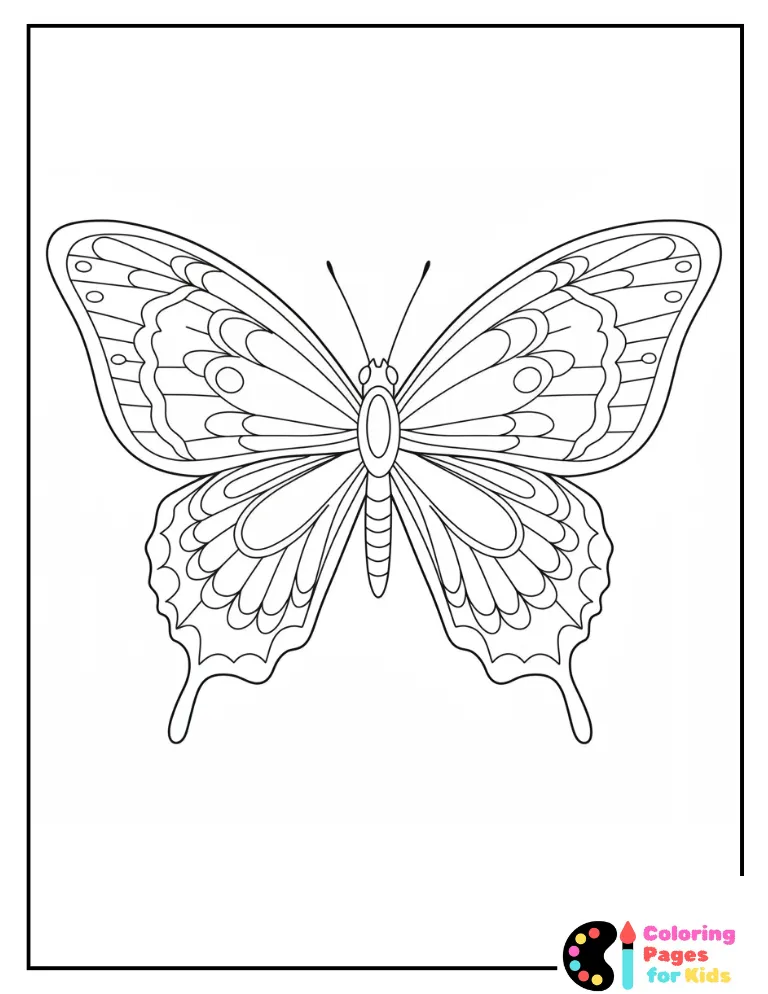 Detailed Butterfly Page
