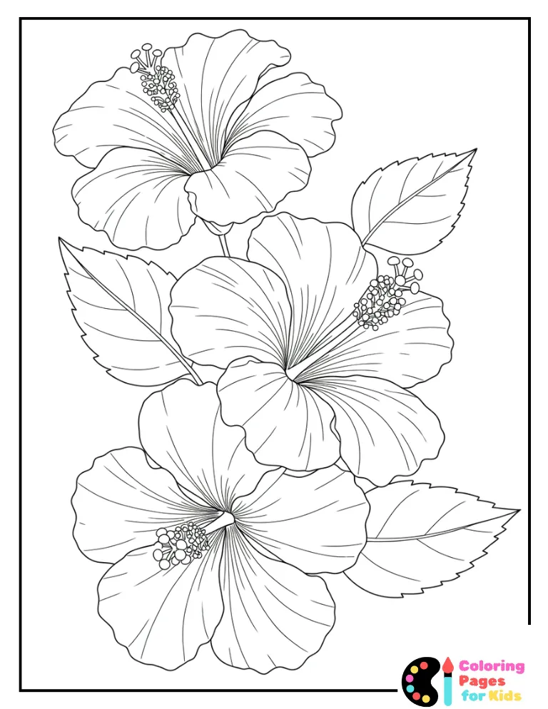 Hibiscus Bundle Coloring Page