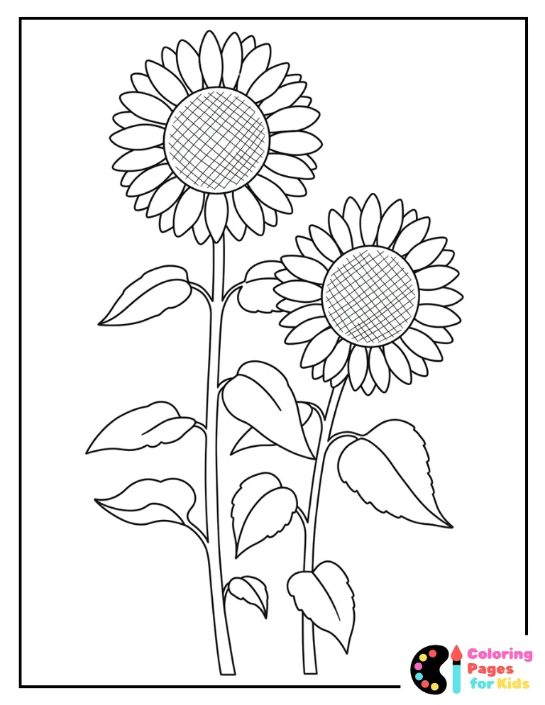 Tall Sunflowers Coloring Page