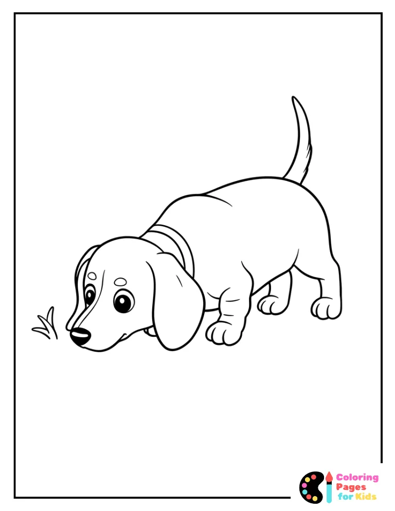 coloring page of a tiny dachshund pup