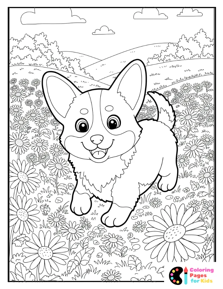 corgi pup playing in a field of daisies