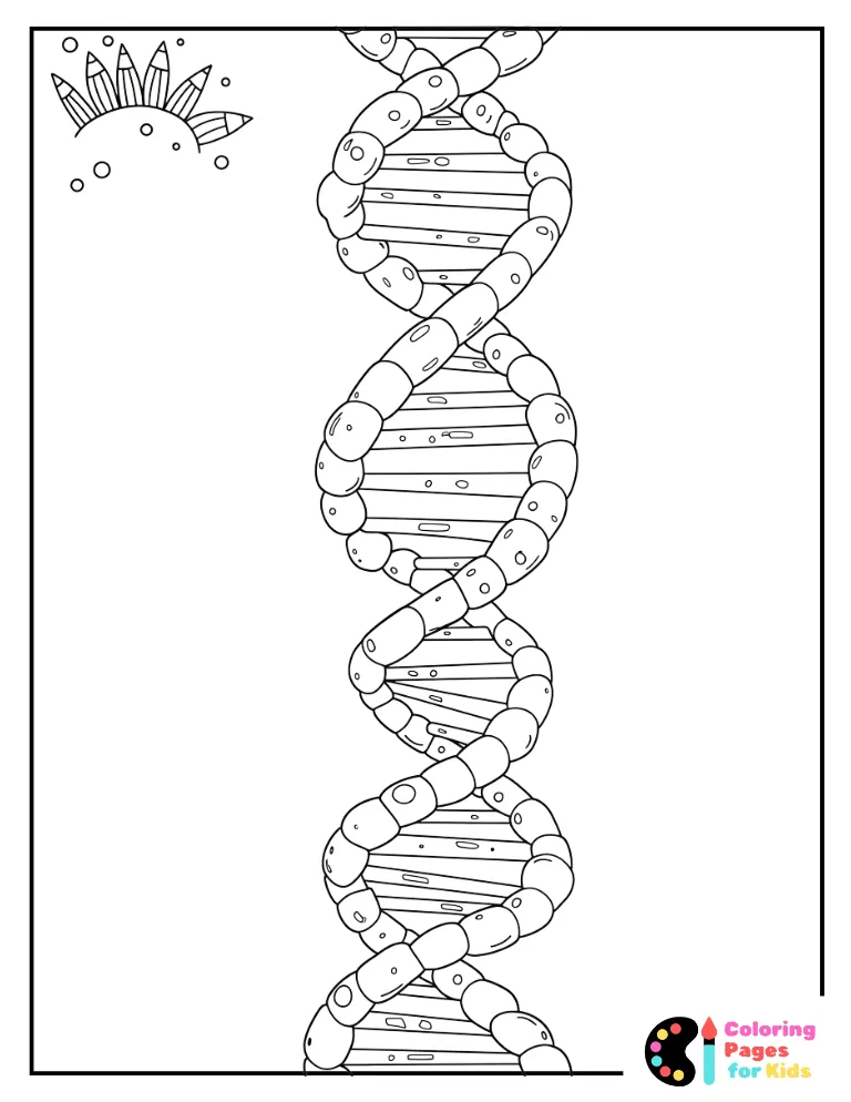 dna strand diagram coloring page