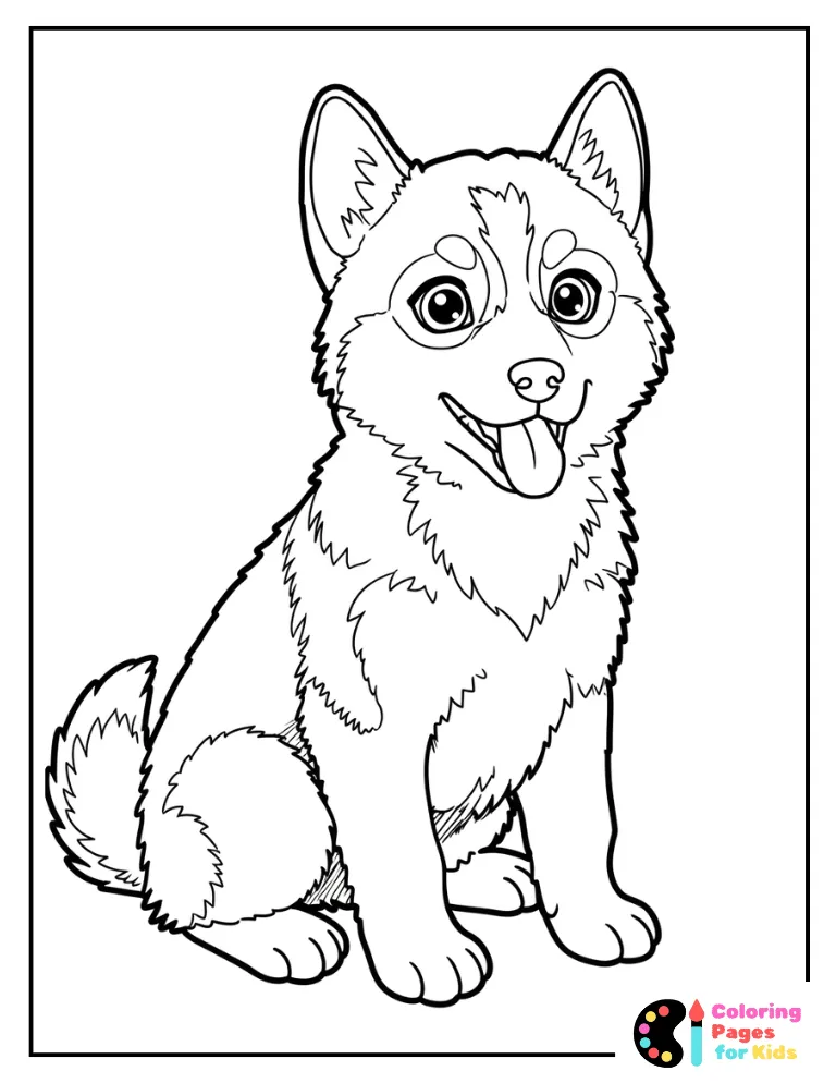 husky puppy panting with tongue out