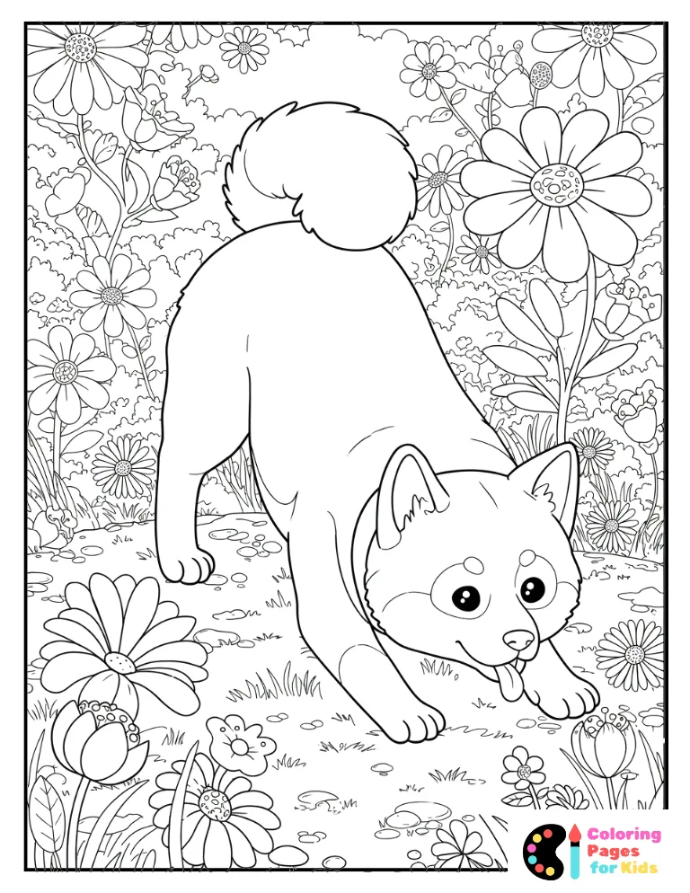 playful akita pup bowing in a meadow full of flowers