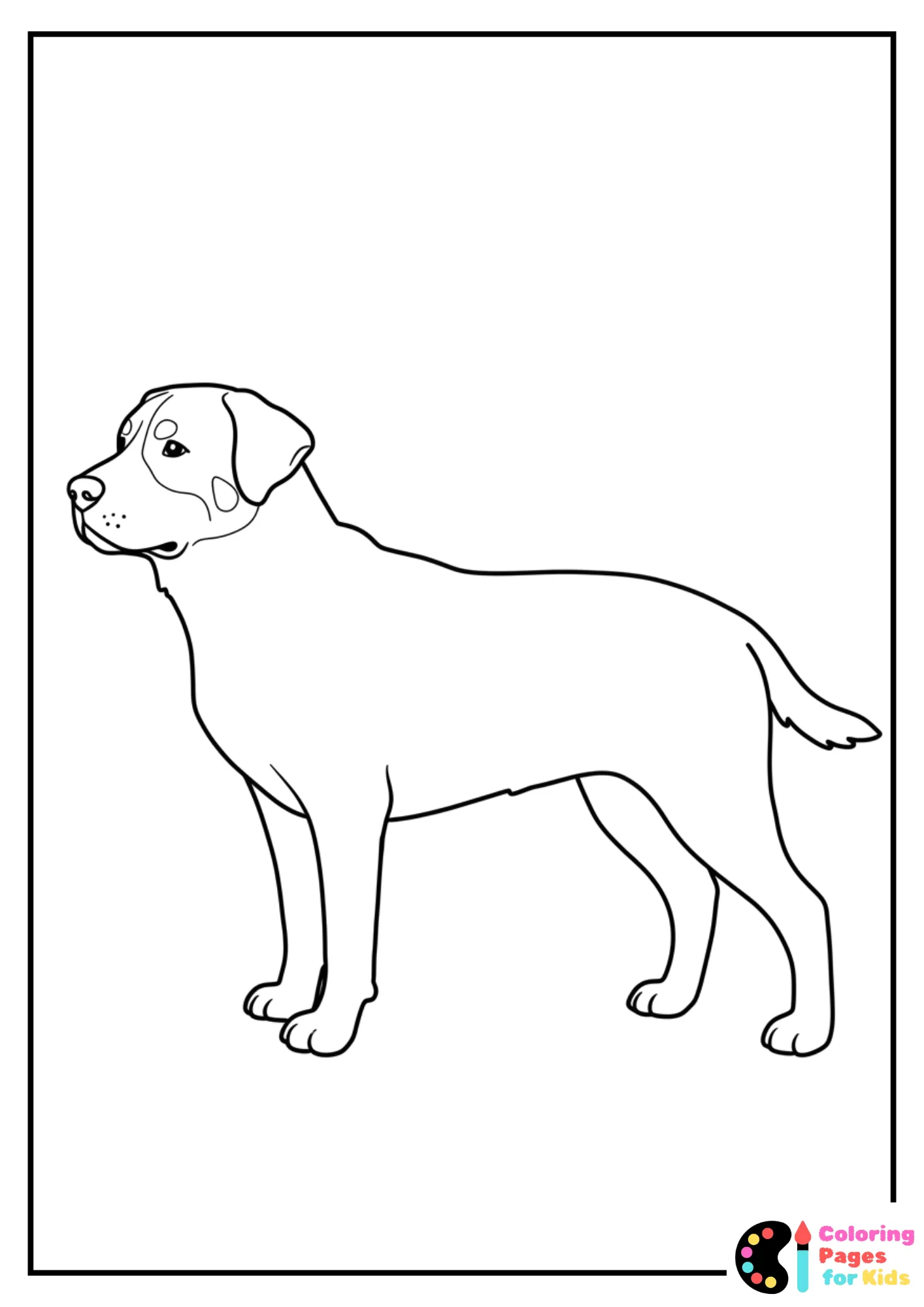 big basset hound lying down color page