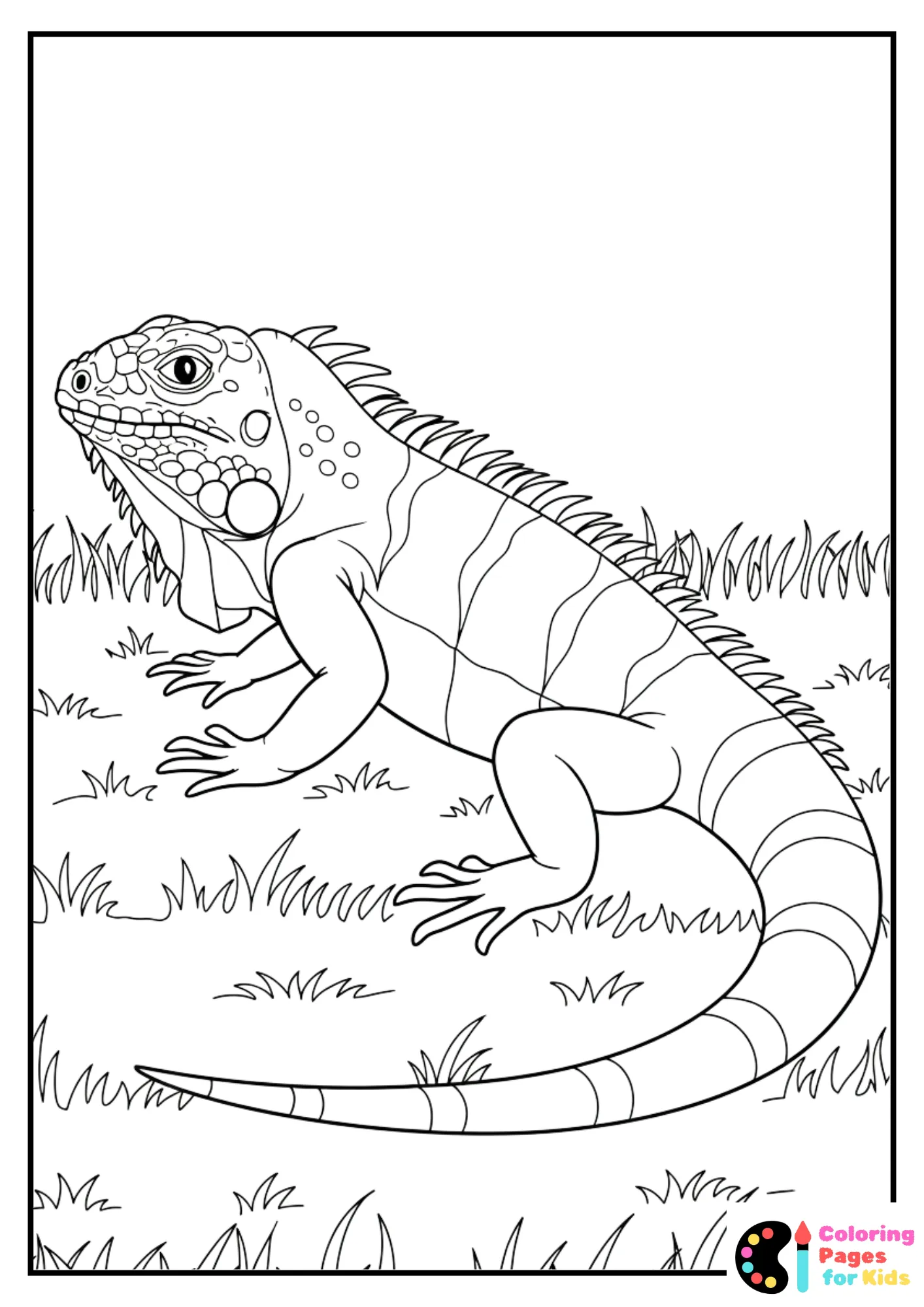 detailed iguana on the grass