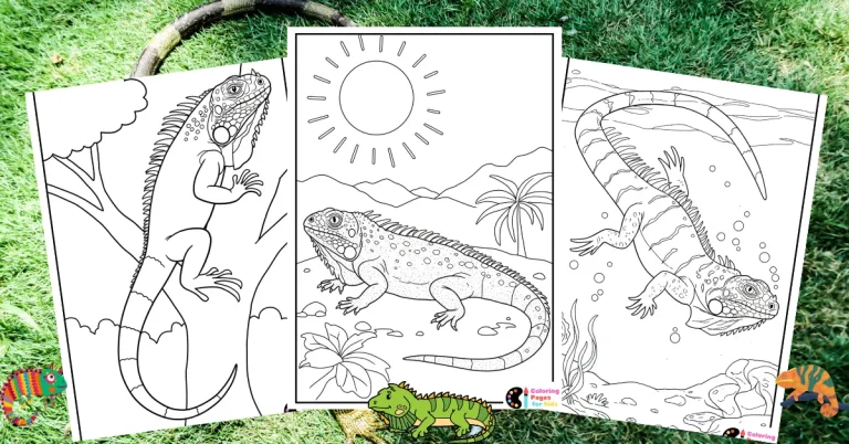 Iguana Coloring Pages for Kids (Free PDF Printable) 31 iguana coloring pages