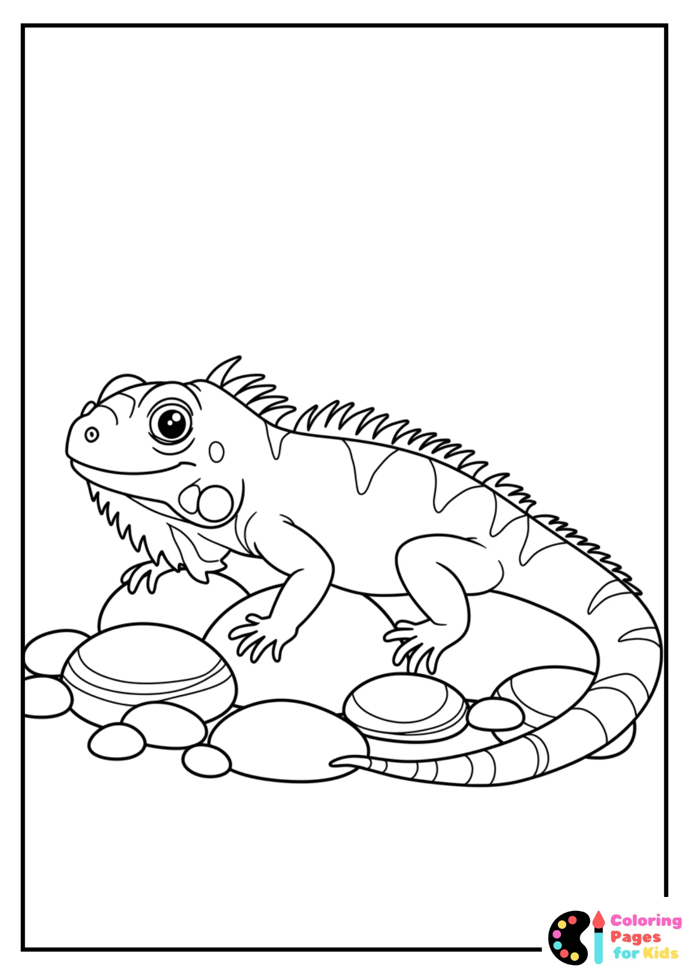 iguana crawling over rocks