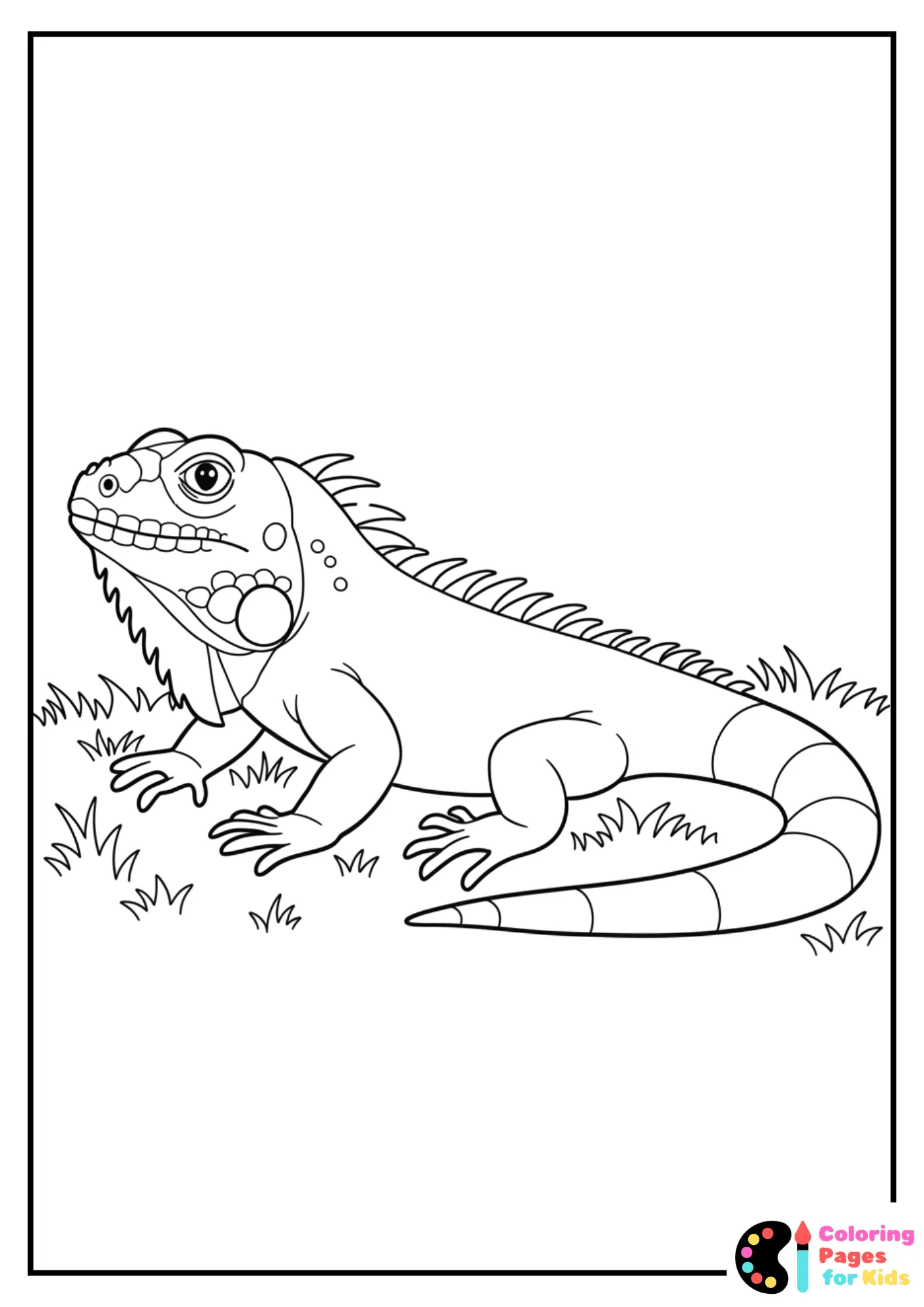 iguana with sharp claws on grass