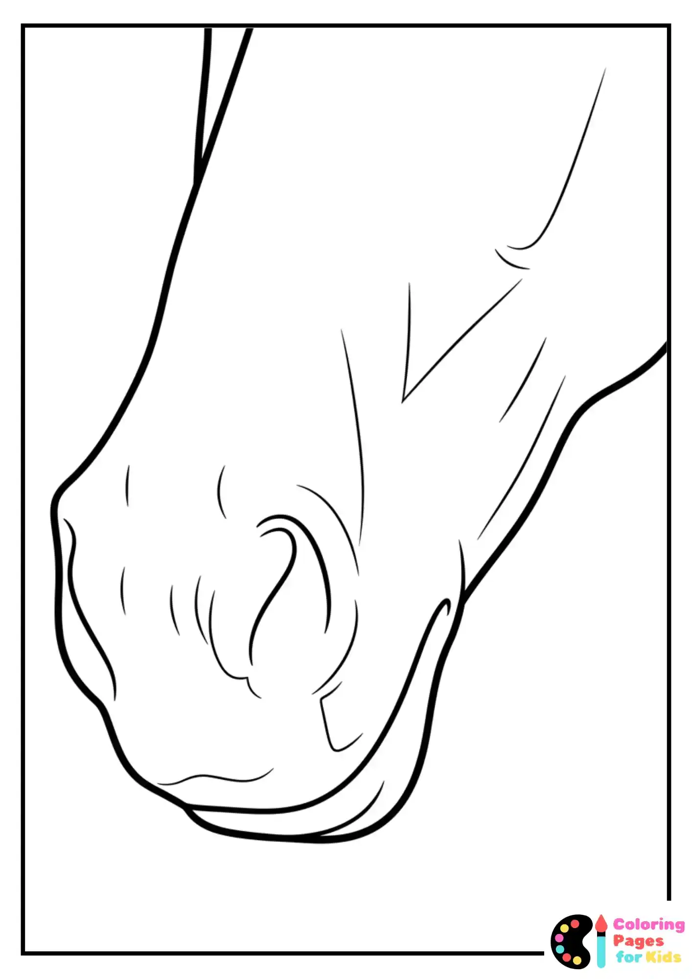 horse nose close up coloring sheet