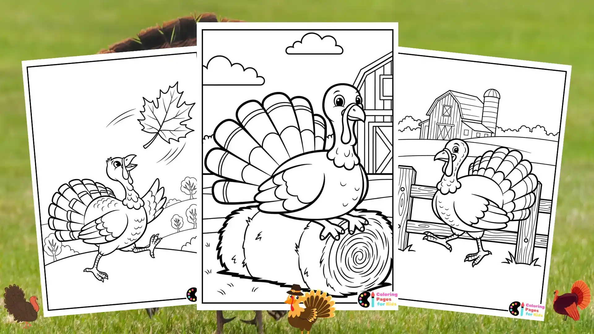 turkey coloring pages